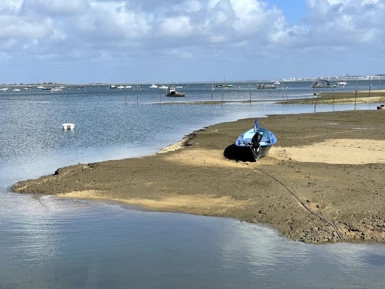 reportage cap ferret