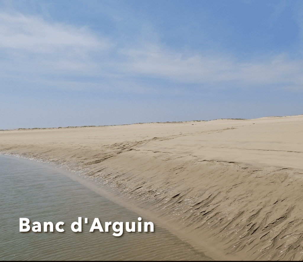 Balade au banc d'arguin Bassin d'Arcachon
