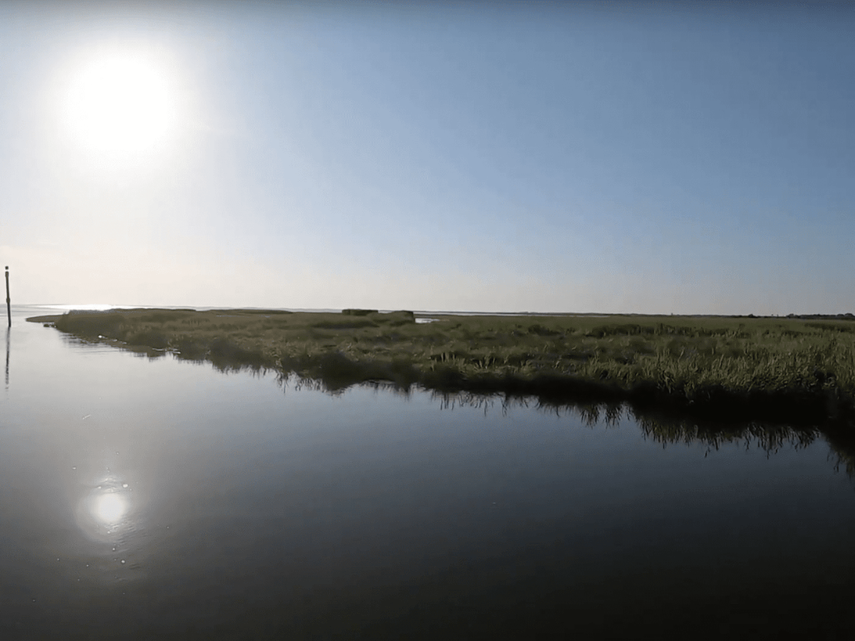 La Balade Delta de la Leyre