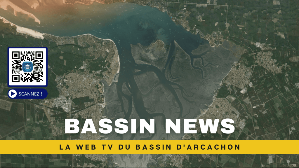 WEB TV Bassin NEWS