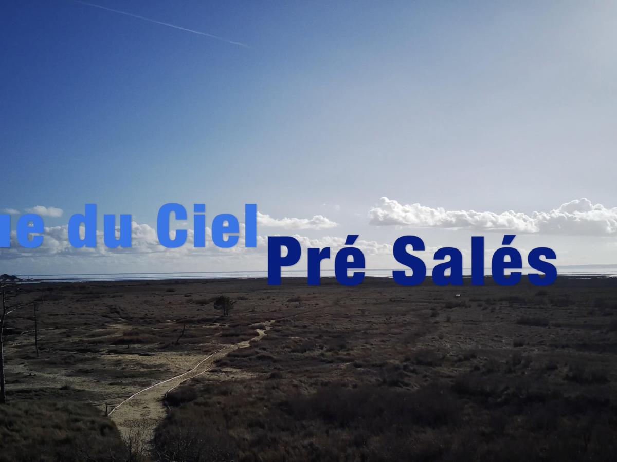Vues du Ciel – Les prés salés d&rsquo;Arès et Lège-Cap Ferret !