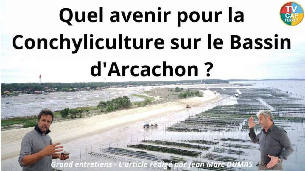 Quel avenir pour la Conchyliculture sur le Bassin d&rsquo;Arcachon ?