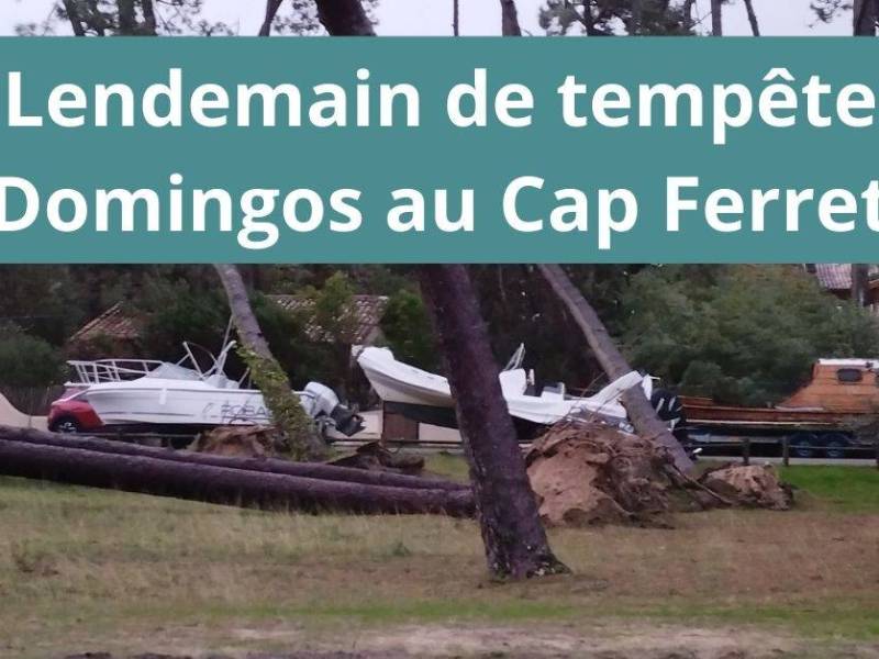 Lendemain de Tempête Domingos au Cap Ferret