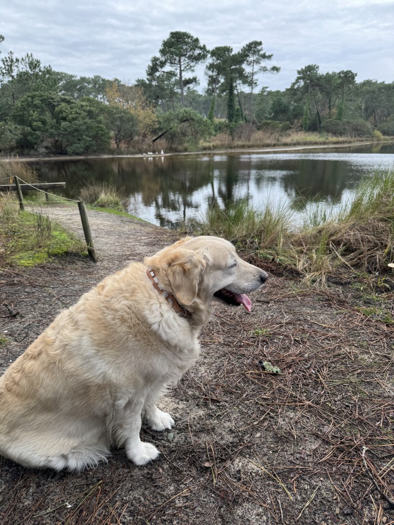 Maia aux réservoirs de Piraillan,