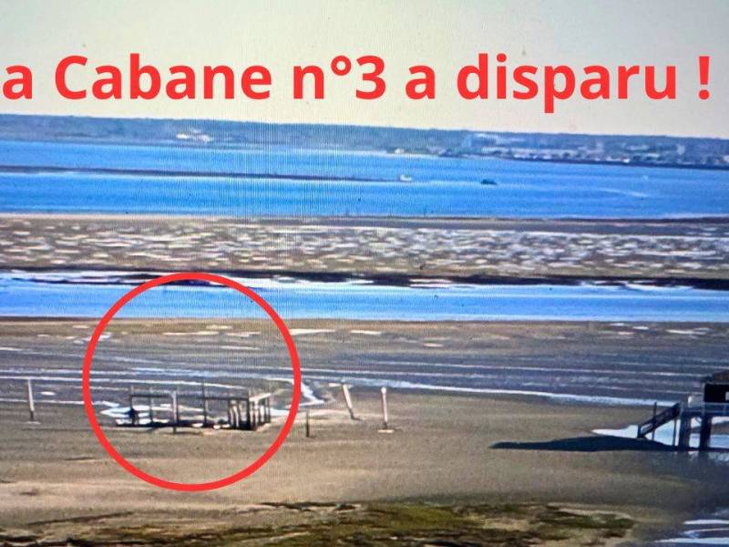 Vidéo – La Cabane a disparu à l&rsquo;île aux oiseaux