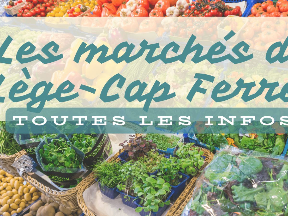 Les Marchés du Cap Ferret