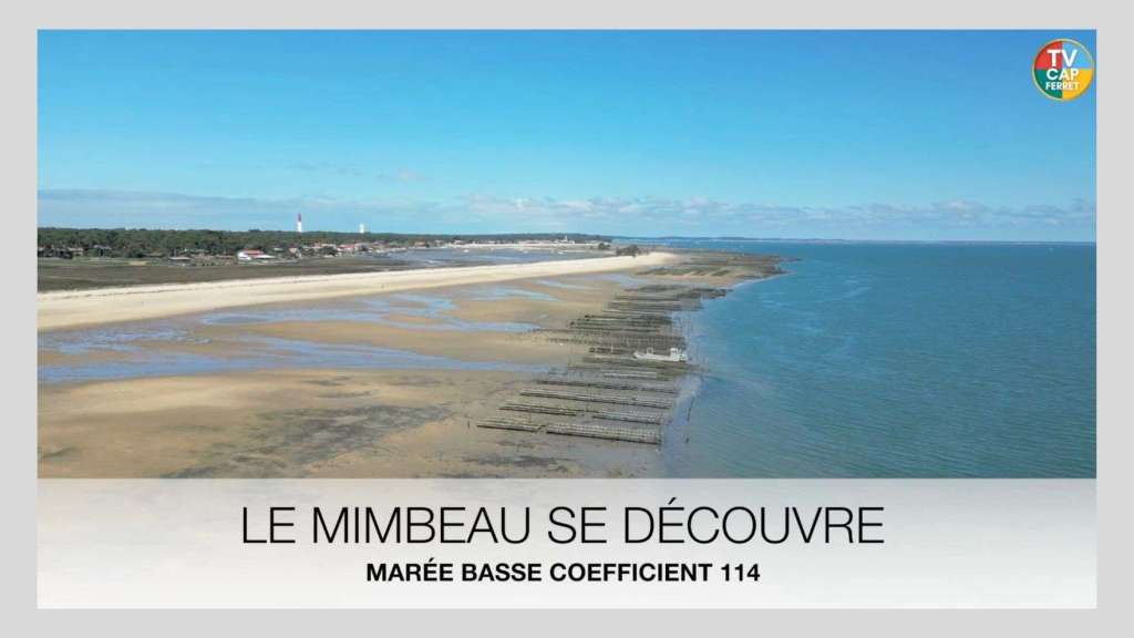 Grandes Marées : Le Cap Ferret se découvre à marée basse