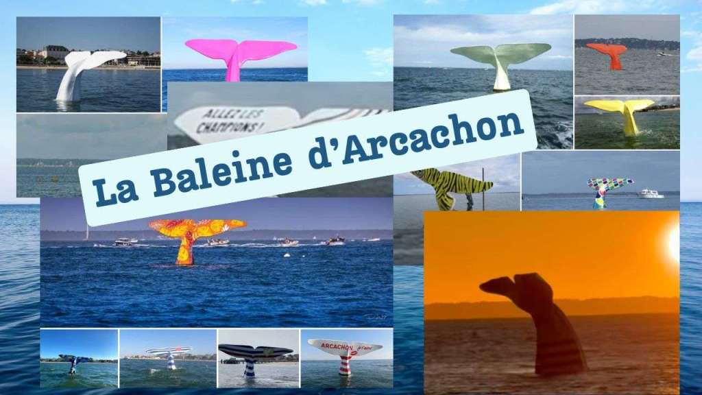 Les millésimes de la queue de la baleine d&rsquo;Arcachon