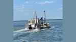 Ostreiculture ADN du Cap Ferret