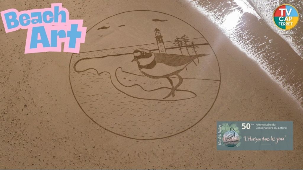 Beach Art à l&rsquo;Horizon pour les 50 ans du Littoral