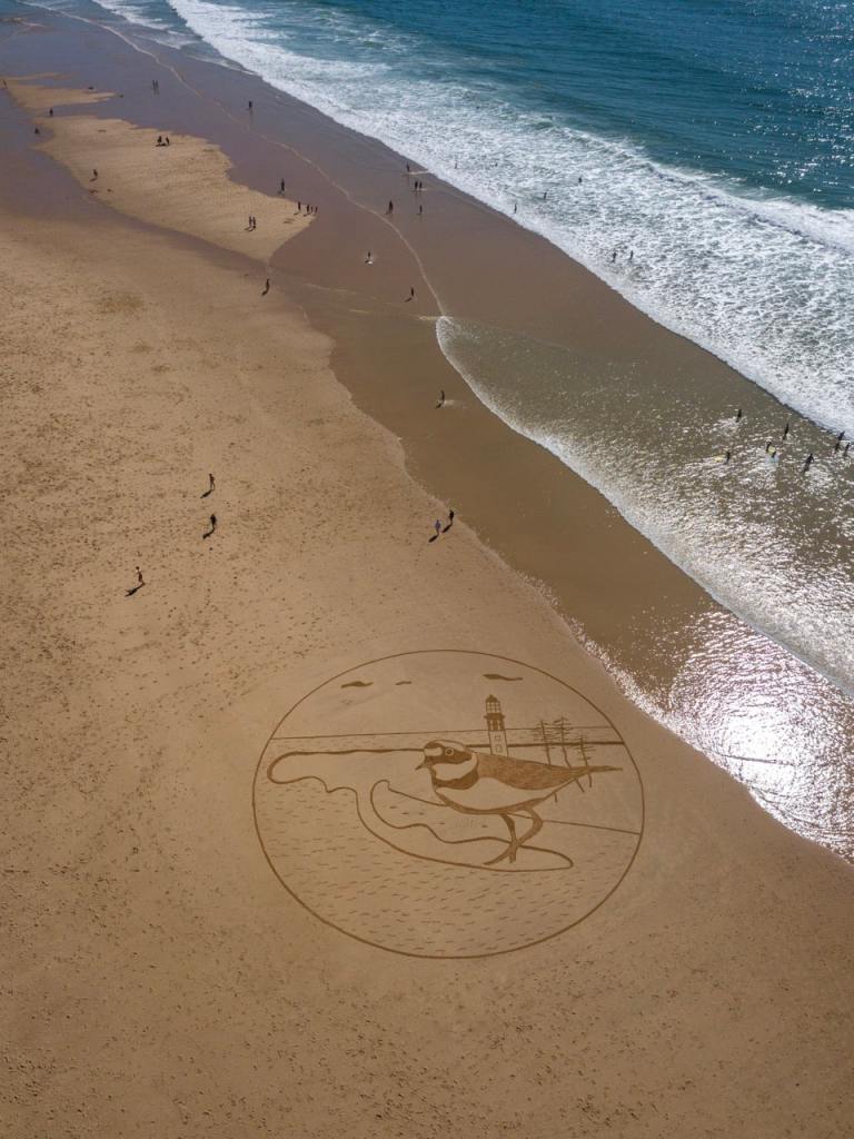 Beach Art à l'horizon -Gravelot 2 Sam Dougados