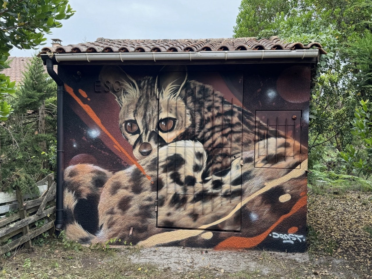 Street Art Arès 2025 – 37 – Avenue de Tamaris – MESURE-DRASTIK