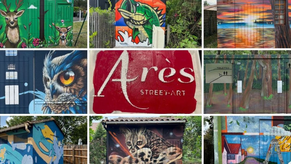 Le Street Art sublime les transformateurs électriques à Arès