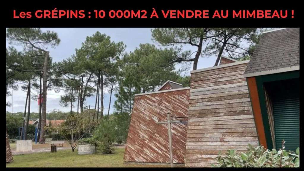 Le village de vacances les Grépins 10 000 M² à vendre au Cap Ferret