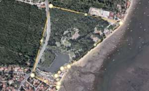 Le-domaine-du-cap-ferret-achete-par-Xavier-Niel