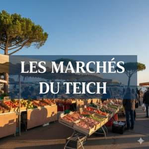 Marchés du Teich