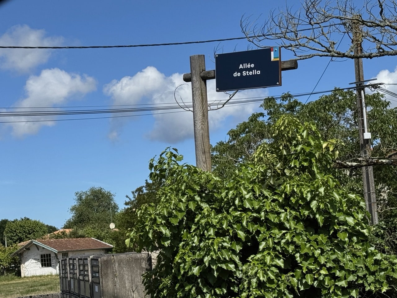 Allée Stella à Lège-Cap-Ferret - vue 4
