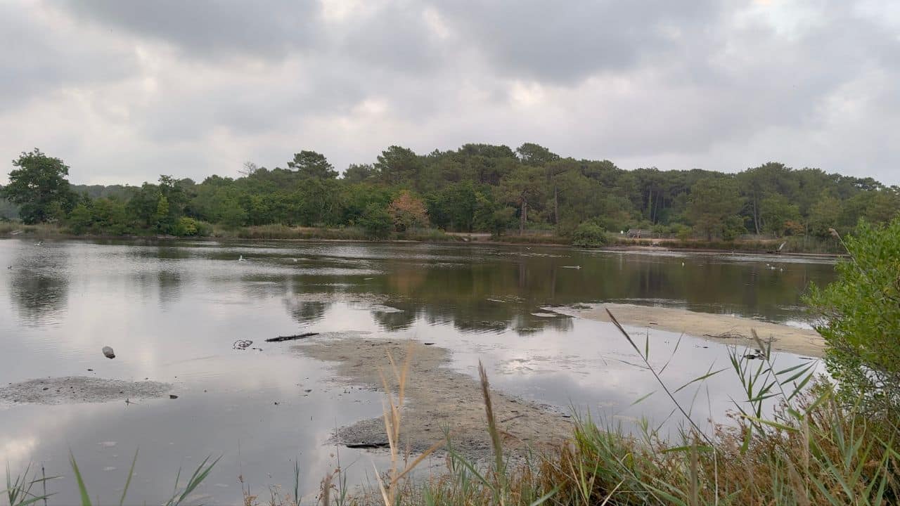 Le Grand Étang d’eau douce du domaine de Saint-Brice à Arès