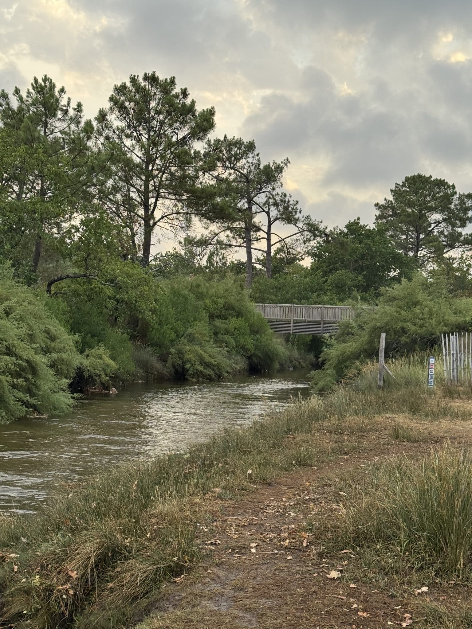 Passerelle franchissant le Cirès entre Andernos-les-Bains et Arès dans le domaine de Saint-Brice