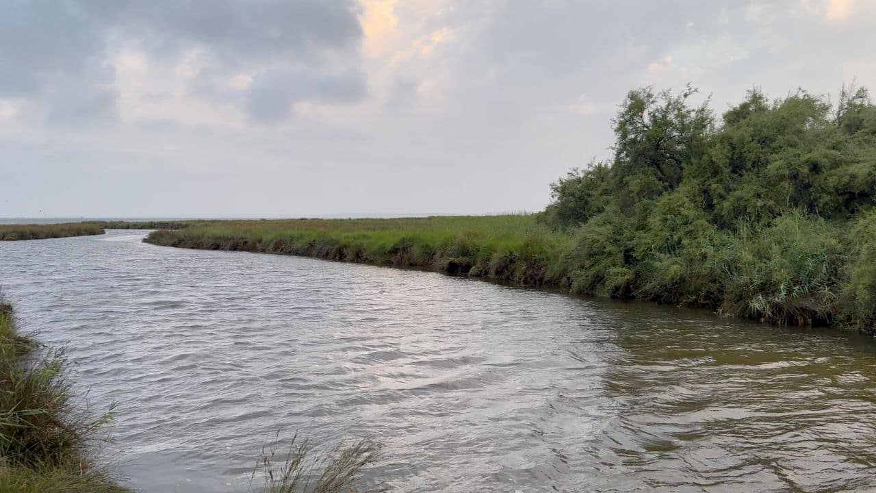 Embouchure du Cirès dans le Bassin d’Arcachon au domaine de Saint-Brice