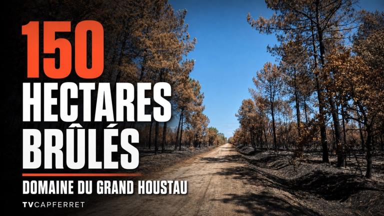 Incendie de Saumos : au cœur des 150 hectares brûlés du Grand Houstau