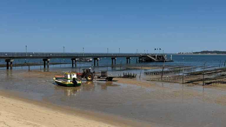Fil Info Lège-Cap Ferret : retour progressif à la normale