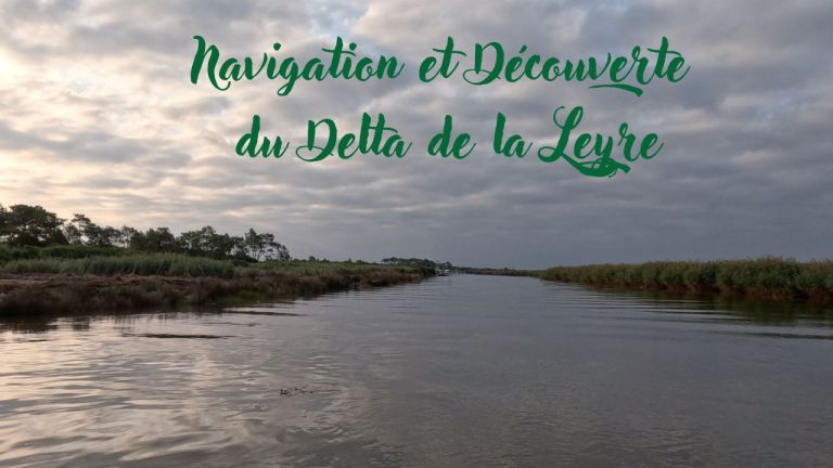 Immersion en bateau dans le Delta de la Leyre (Vidéo)