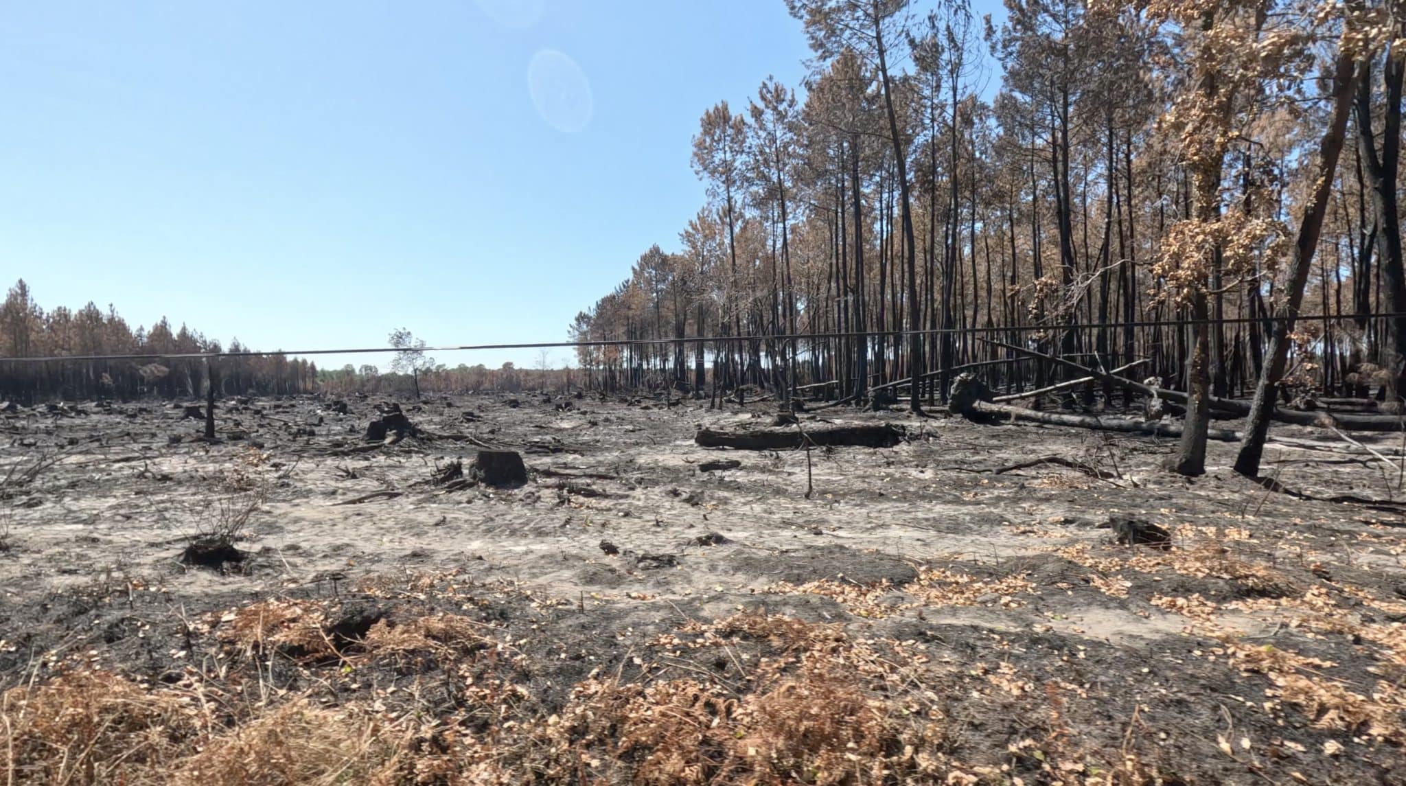 Coupe rase achevée avant l’incendie dans le domaine du Grand Houstau