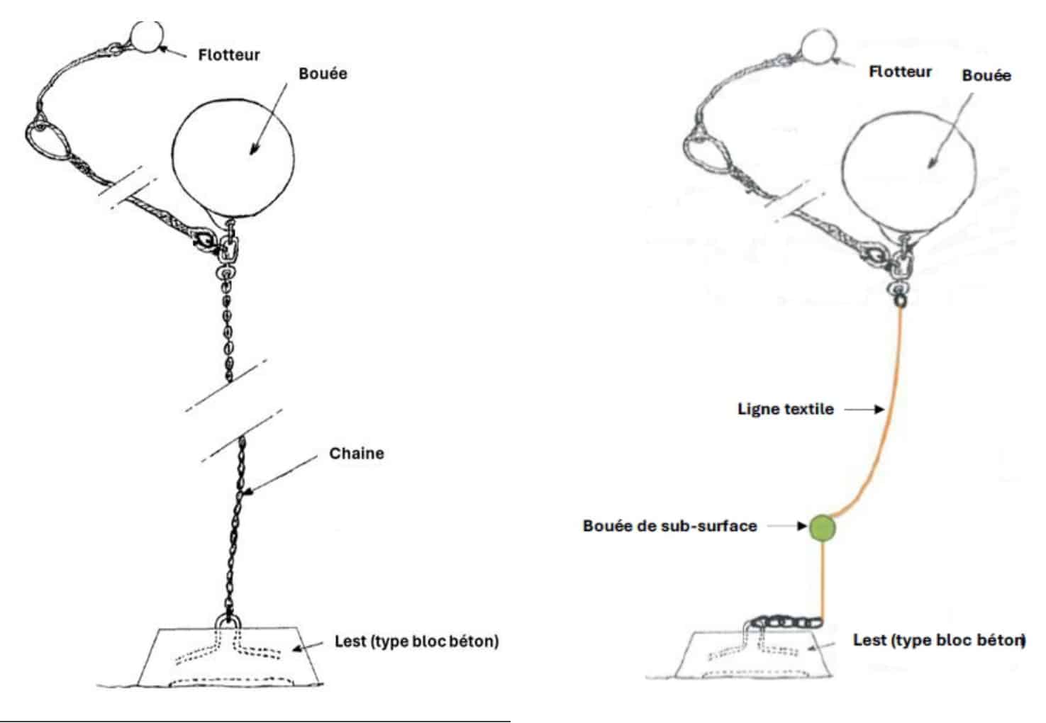 Comparaison entre un mouillage à chaîne et un mouillage à ligne textile avec bouée sous la surface.